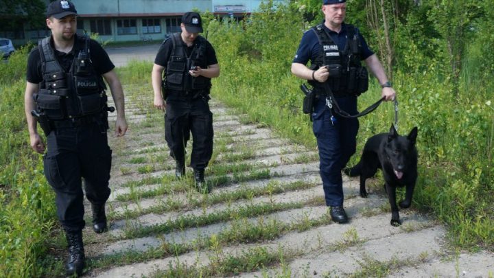 Trwa obława na podejrzanego o mord. Uczestniczą w niej policjanci z Katowic, strażacy, kilka psów tropiących i dron. Policja ostrzega, że poszukiwany może być niebezpieczny – ujawniono jego personalia i wizerunek.