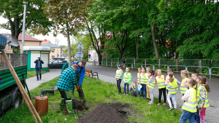 Katowice: Wielka akcja sadzenia drzew.