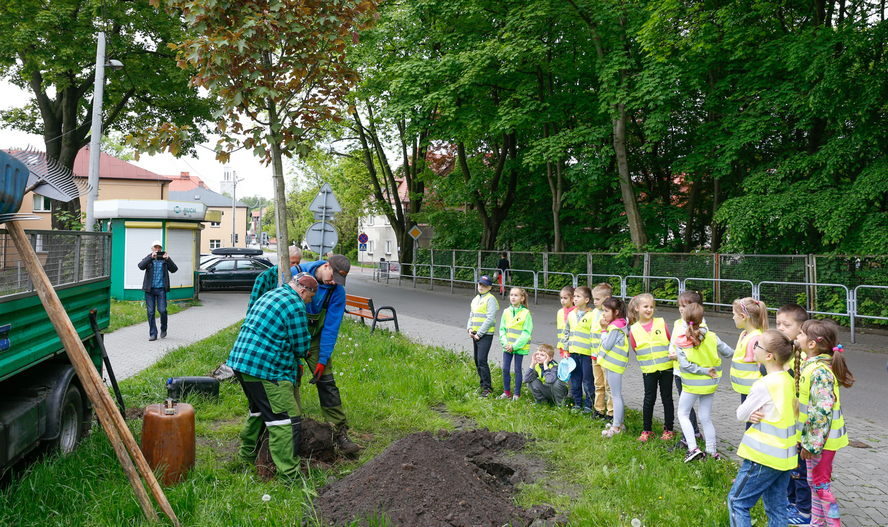 Katowice: Wielka akcja sadzenia drzew.