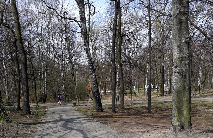 Mieszkaniec Katowic próbował złapać mężczyznę, który obnażał się w parku na Zadolu.