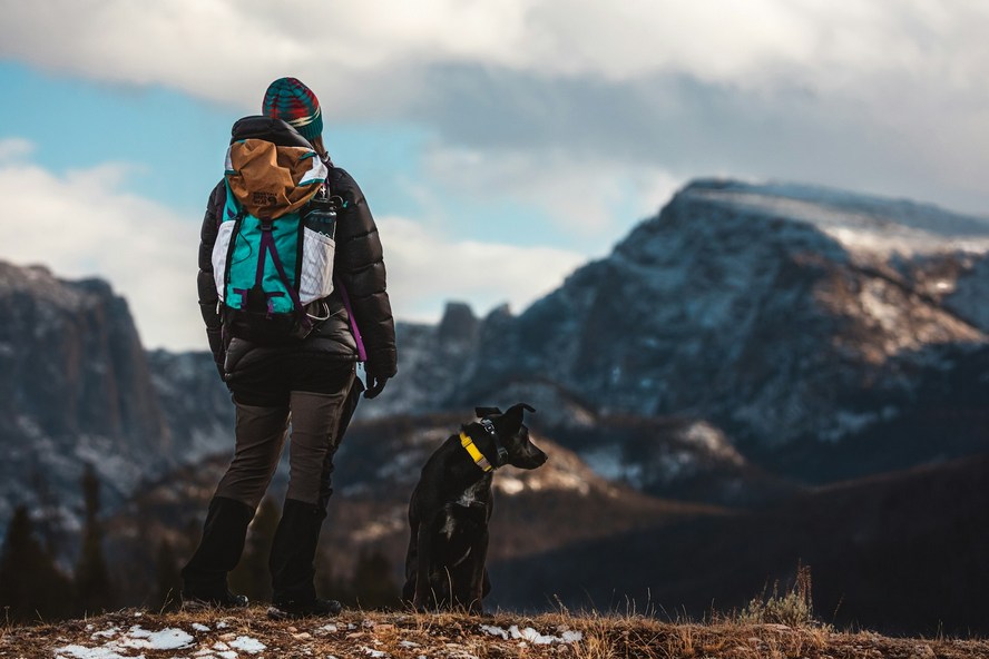 Spacery z psem w górach: Jak bezpiecznie cieszyć się przyrodą z czworonogiem?